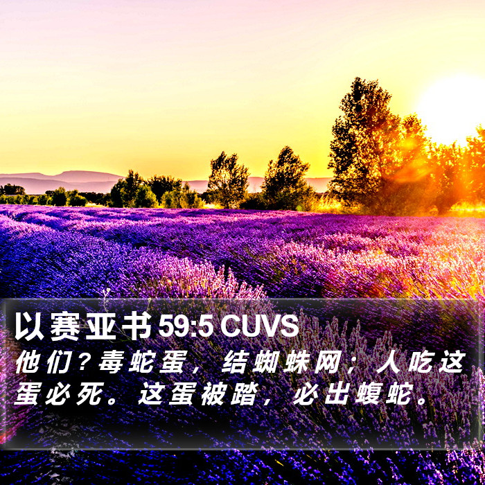 以 赛 亚 书 59:5 CUVS Bible Study