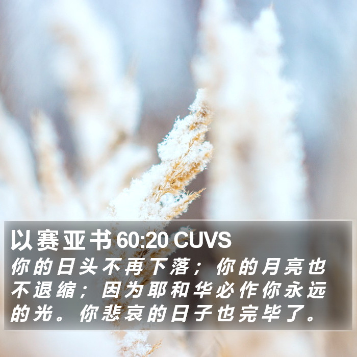 以 赛 亚 书 60:20 CUVS Bible Study