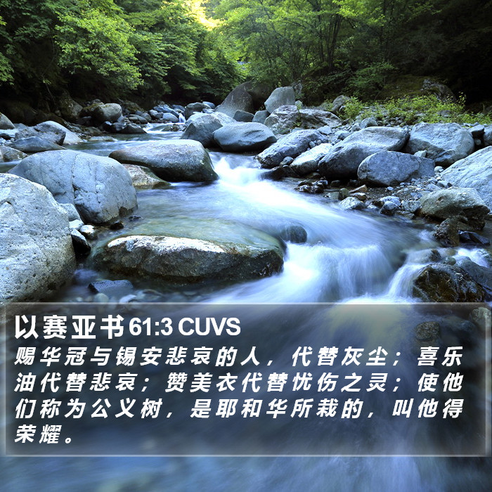 以 赛 亚 书 61:3 CUVS Bible Study