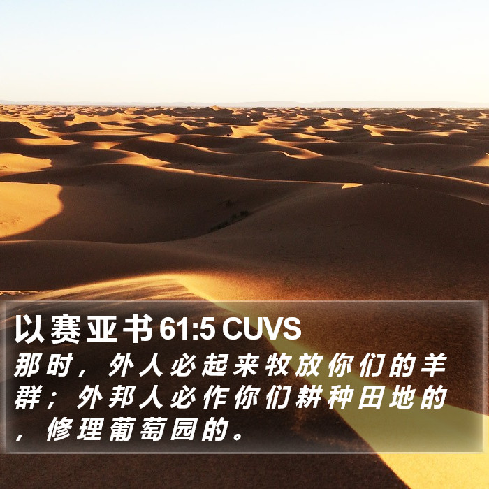 以 赛 亚 书 61:5 CUVS Bible Study