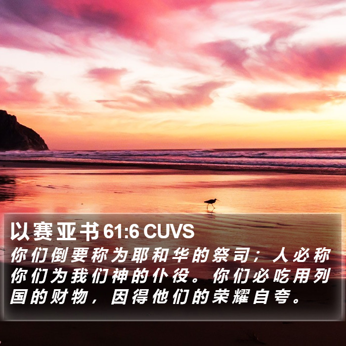 以 赛 亚 书 61:6 CUVS Bible Study