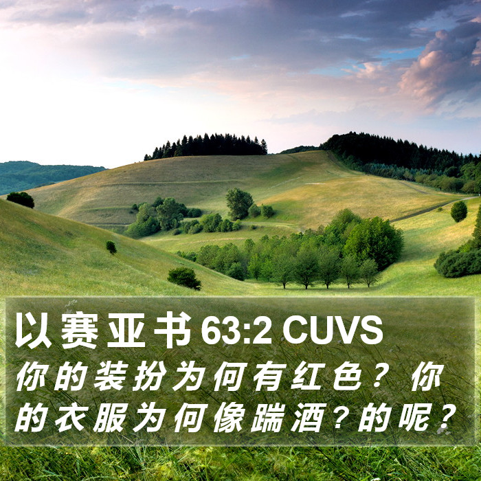 以 赛 亚 书 63:2 CUVS Bible Study