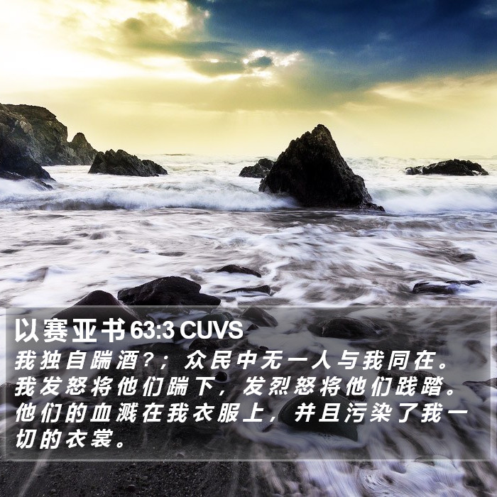 以 赛 亚 书 63:3 CUVS Bible Study