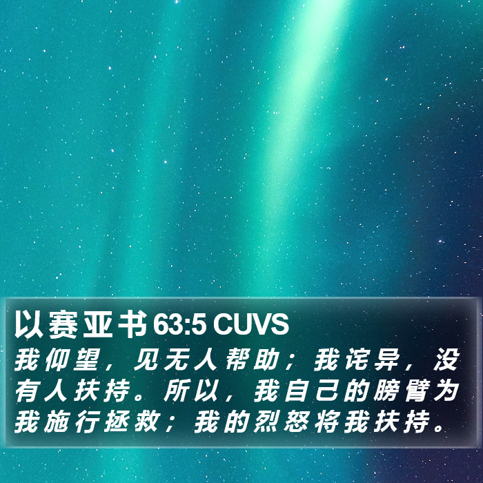 以 赛 亚 书 63:5 CUVS Bible Study