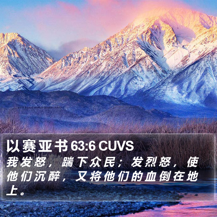 以 赛 亚 书 63:6 CUVS Bible Study