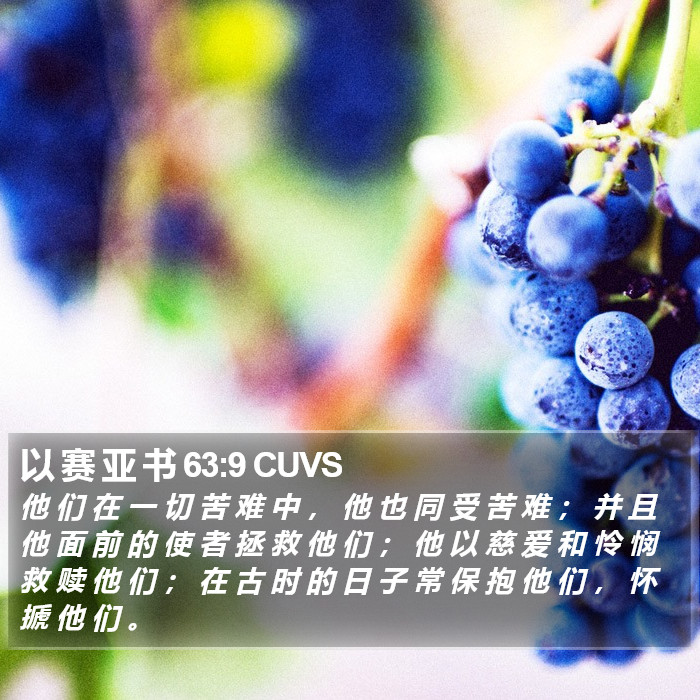 以 赛 亚 书 63:9 CUVS Bible Study