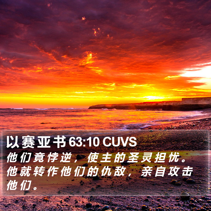 以 赛 亚 书 63:10 CUVS Bible Study