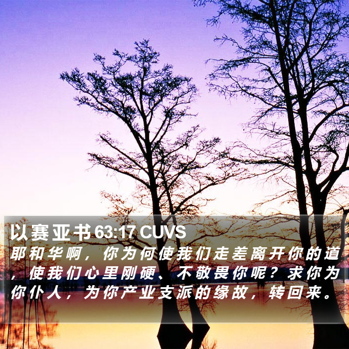 以 赛 亚 书 63:17 CUVS Bible Study