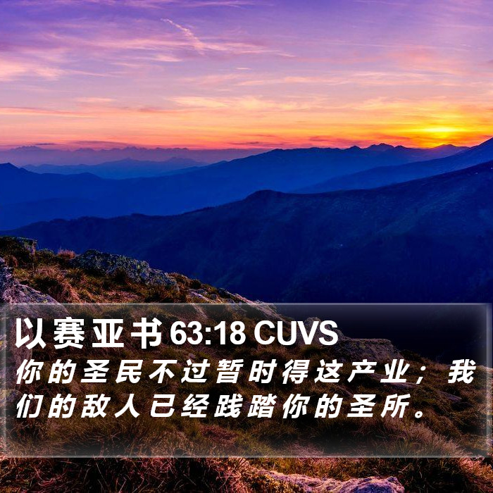 以 赛 亚 书 63:18 CUVS Bible Study