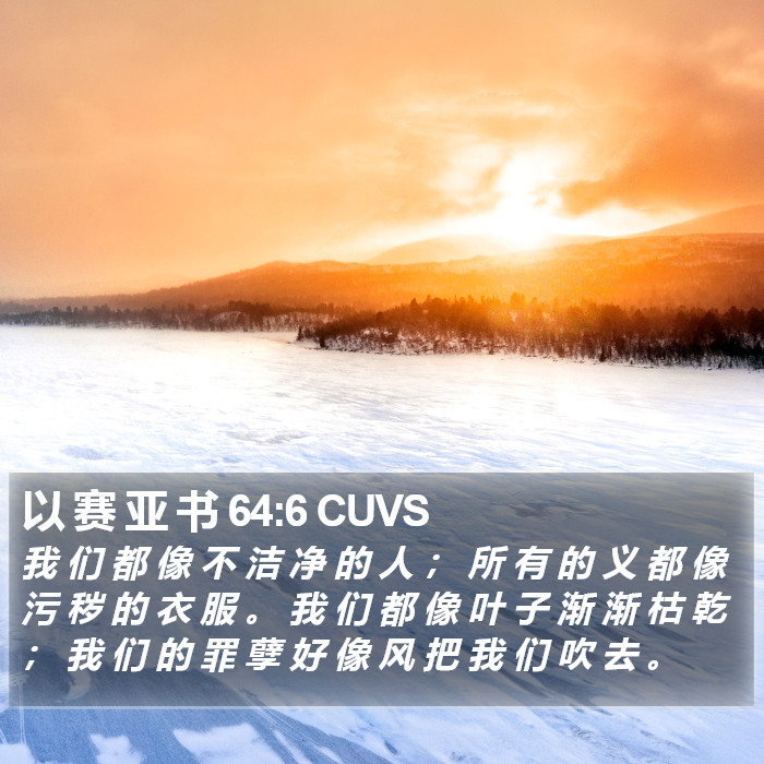 以 赛 亚 书 64:6 CUVS Bible Study
