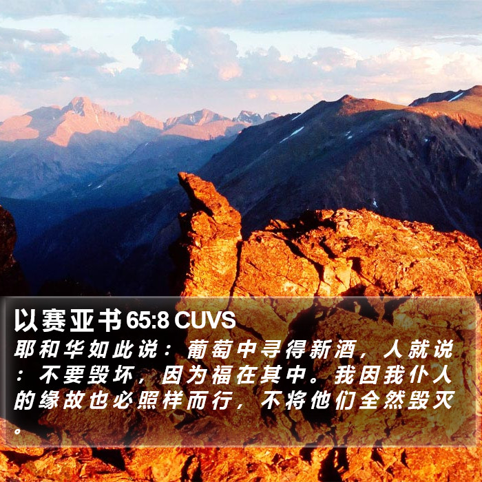 以 赛 亚 书 65:8 CUVS Bible Study