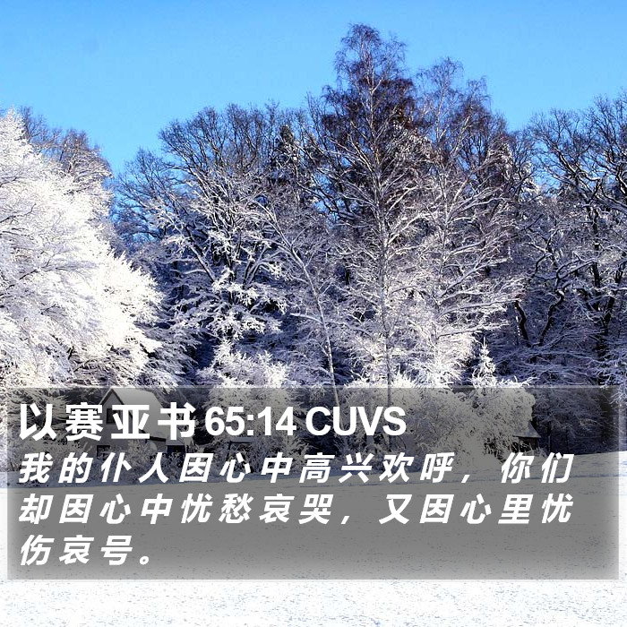 以 赛 亚 书 65:14 CUVS Bible Study