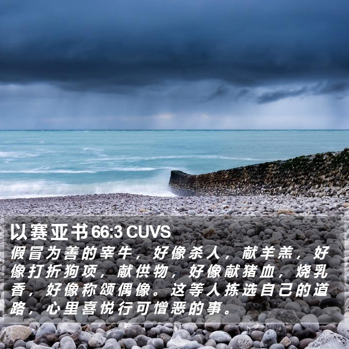 以 赛 亚 书 66:3 CUVS Bible Study