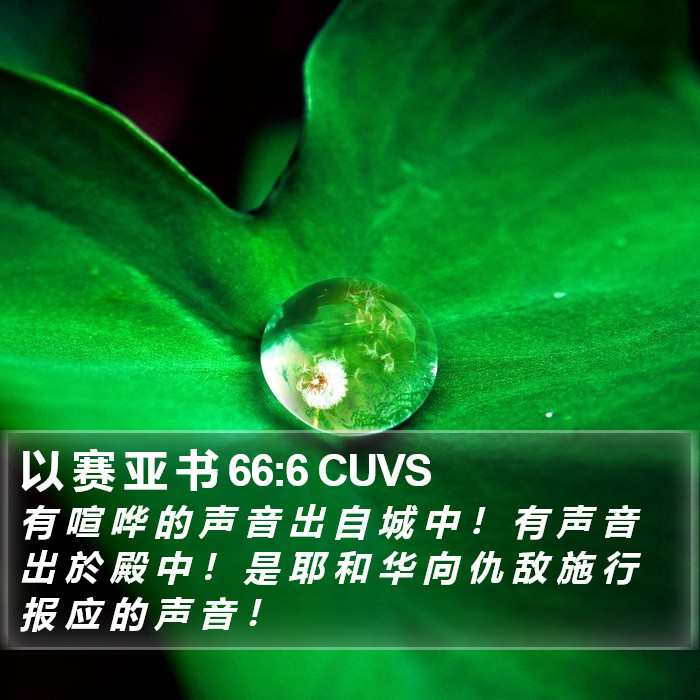 以 赛 亚 书 66:6 CUVS Bible Study