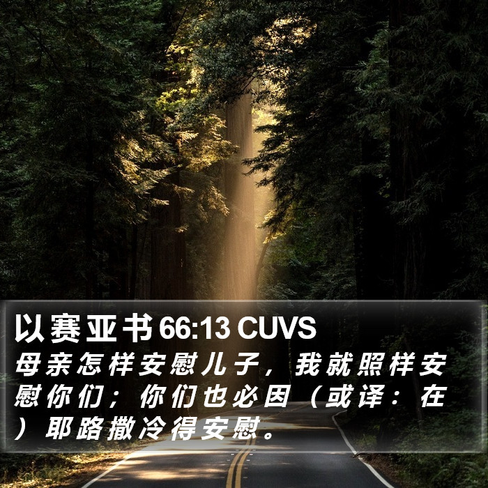 以 赛 亚 书 66:13 CUVS Bible Study