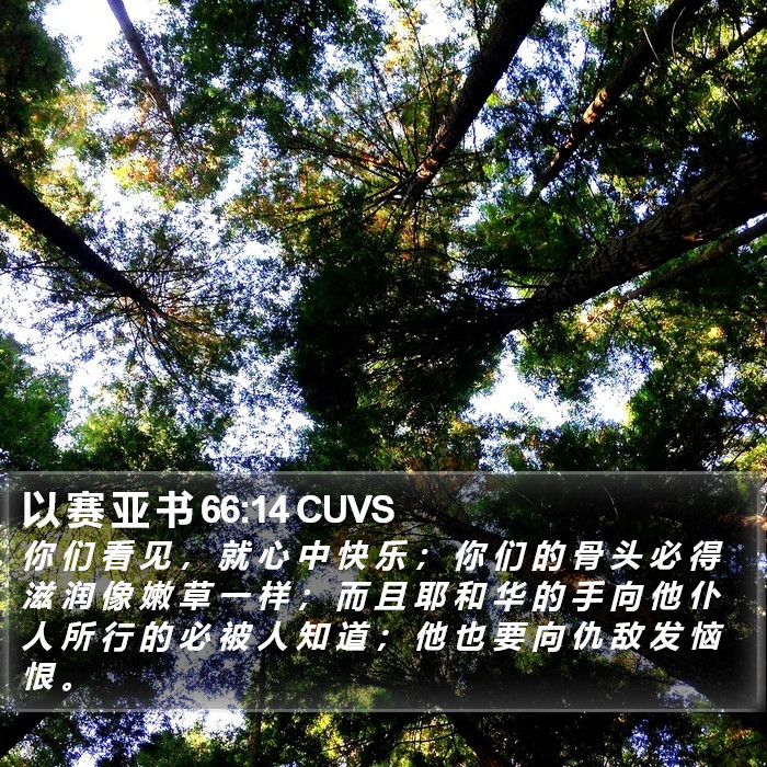 以 赛 亚 书 66:14 CUVS Bible Study