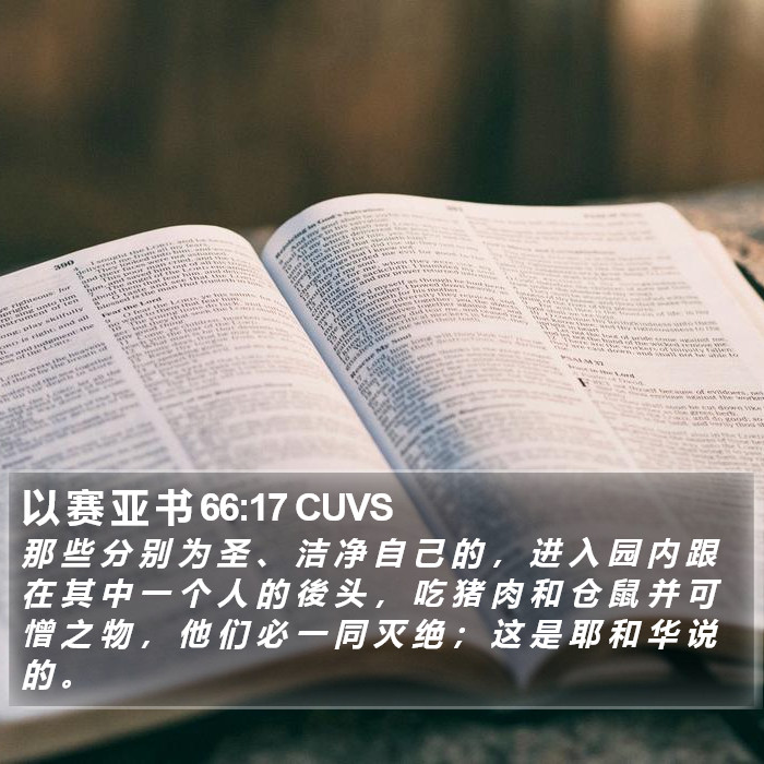 以 赛 亚 书 66:17 CUVS Bible Study