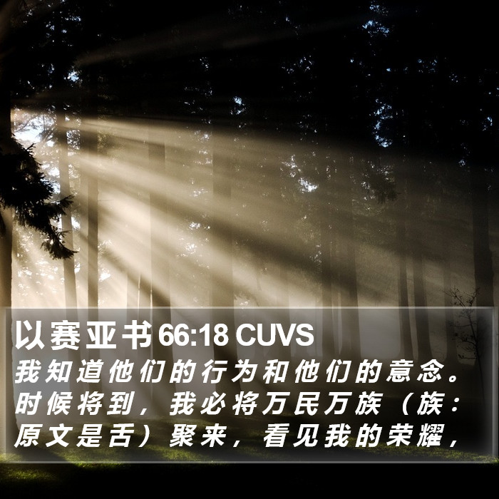 以 赛 亚 书 66:18 CUVS Bible Study