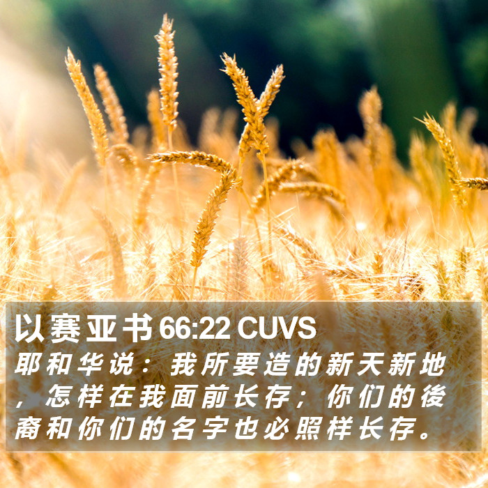 以 赛 亚 书 66:22 CUVS Bible Study