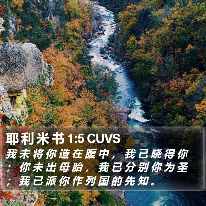 耶 利 米 书 1:5 CUVS Bible Study