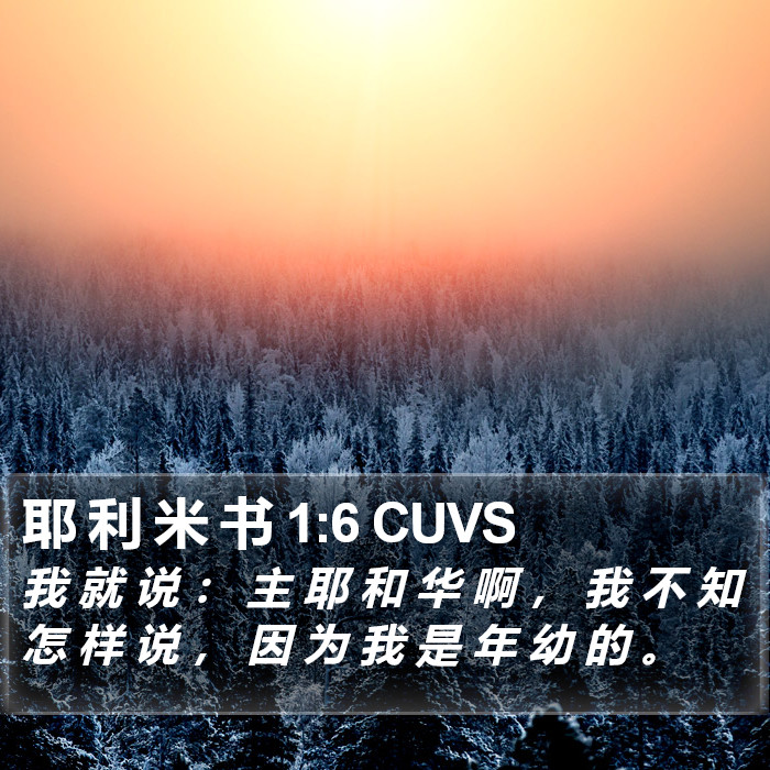 耶 利 米 书 1:6 CUVS Bible Study