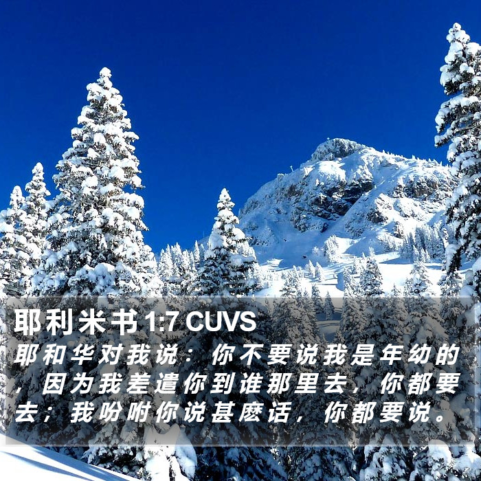 耶 利 米 书 1:7 CUVS Bible Study