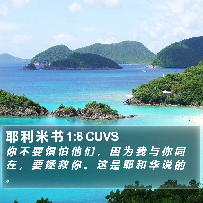 耶 利 米 书 1:8 CUVS Bible Study