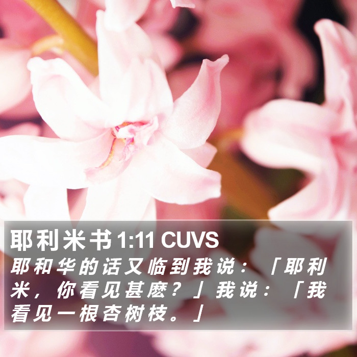 耶 利 米 书 1:11 CUVS Bible Study