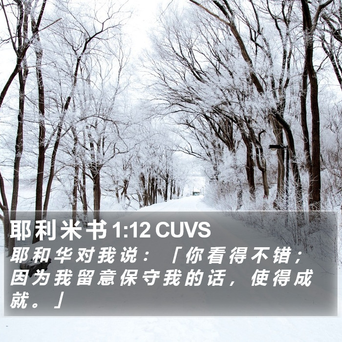 耶 利 米 书 1:12 CUVS Bible Study