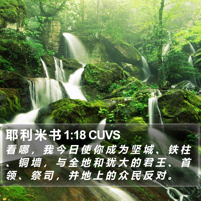 耶 利 米 书 1:18 CUVS Bible Study