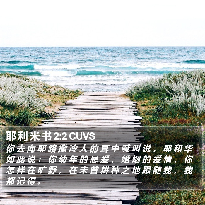 耶 利 米 书 2:2 CUVS Bible Study