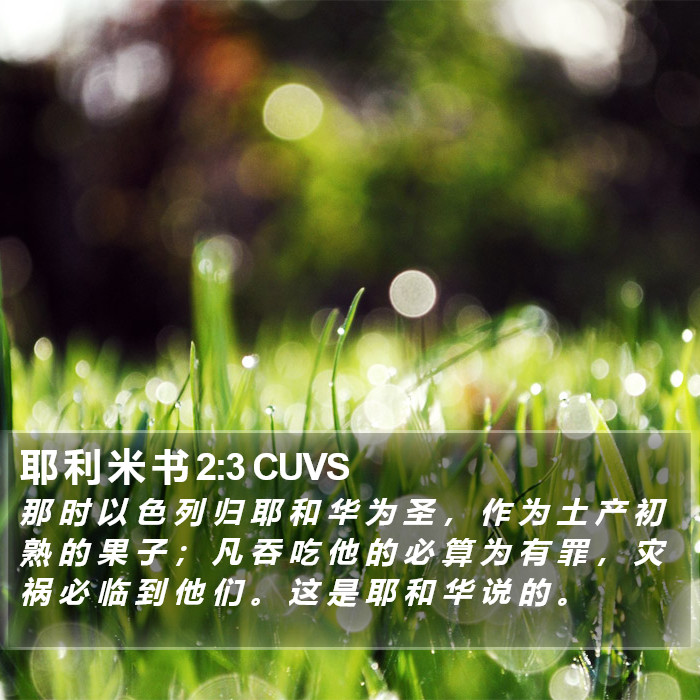 耶 利 米 书 2:3 CUVS Bible Study