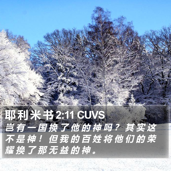 耶 利 米 书 2:11 CUVS Bible Study