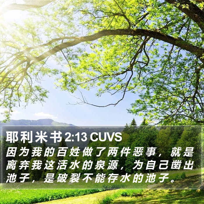 耶 利 米 书 2:13 CUVS Bible Study