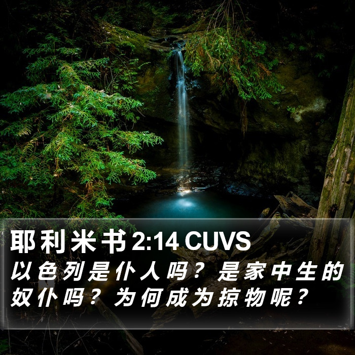 耶 利 米 书 2:14 CUVS Bible Study