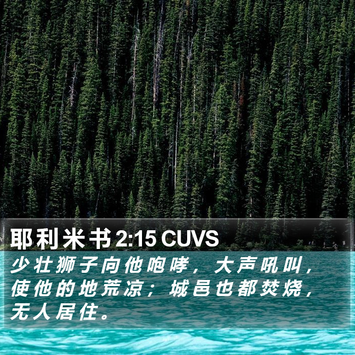 耶 利 米 书 2:15 CUVS Bible Study