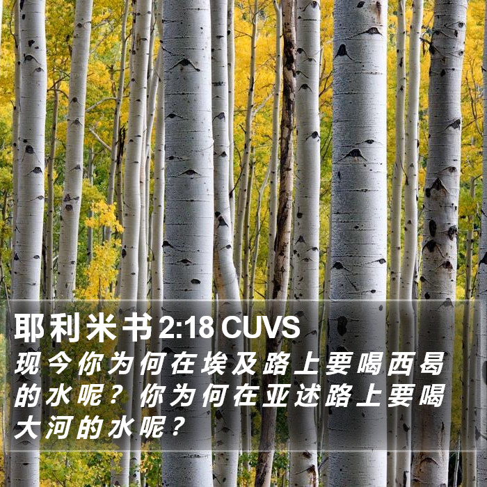 耶 利 米 书 2:18 CUVS Bible Study