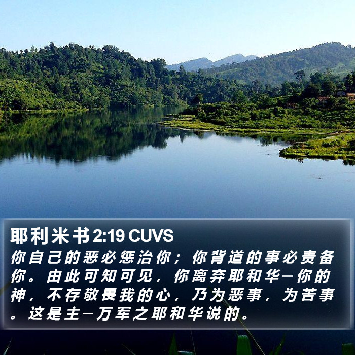 耶 利 米 书 2:19 CUVS Bible Study