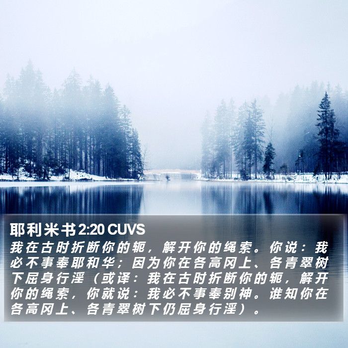 耶 利 米 书 2:20 CUVS Bible Study