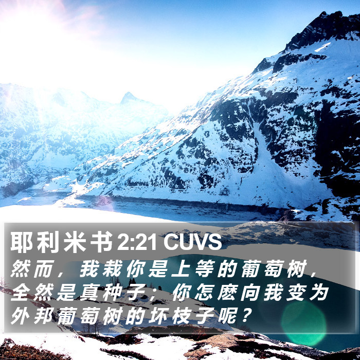 耶 利 米 书 2:21 CUVS Bible Study