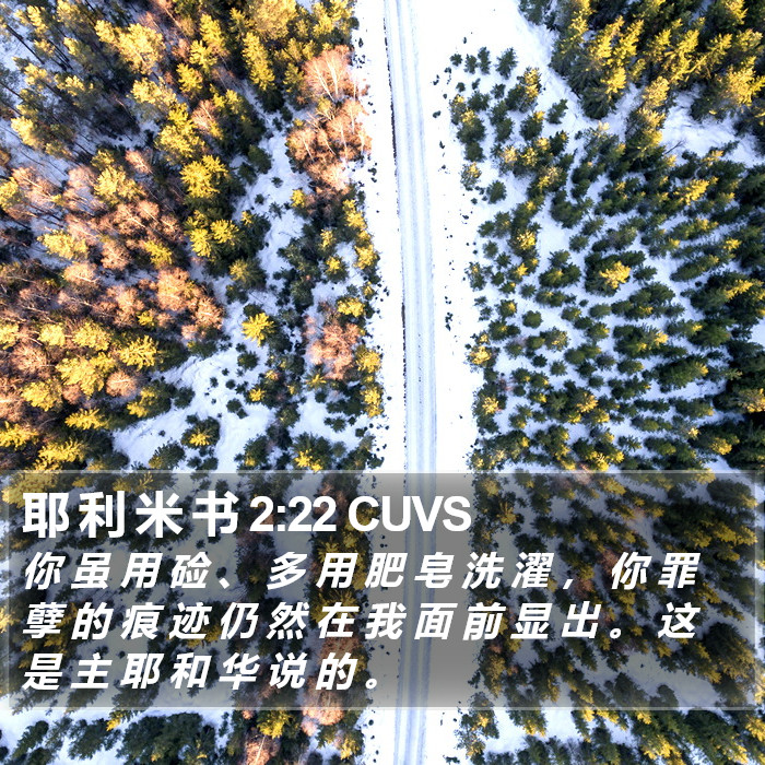 耶 利 米 书 2:22 CUVS Bible Study