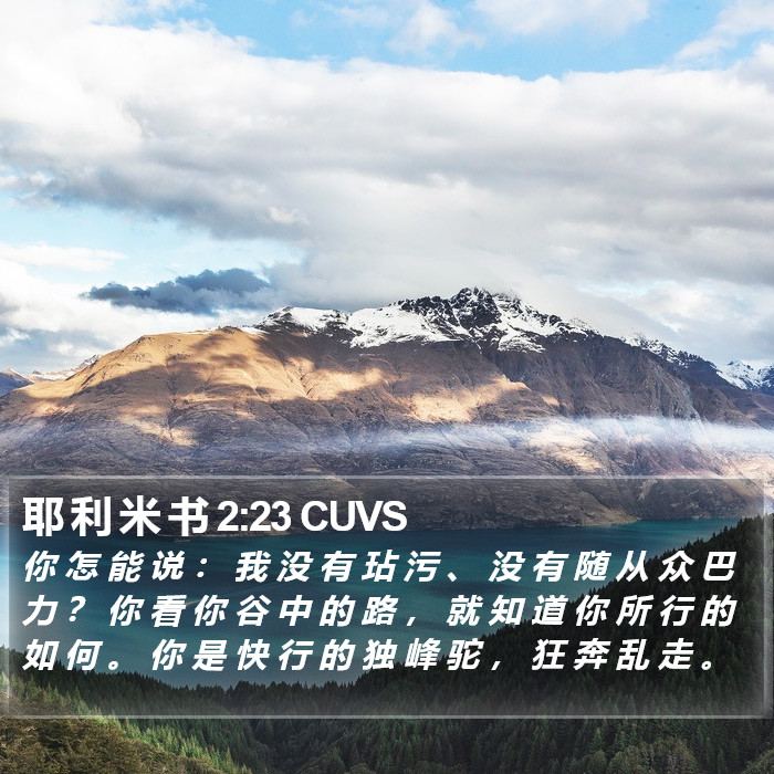 耶 利 米 书 2:23 CUVS Bible Study