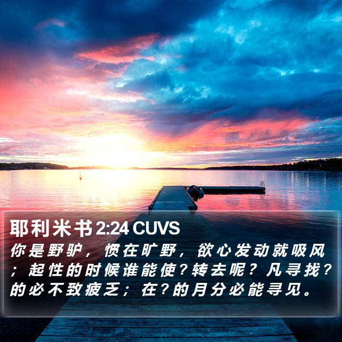 耶 利 米 书 2:24 CUVS Bible Study