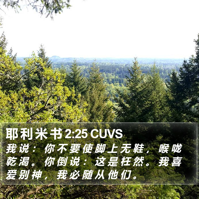 耶 利 米 书 2:25 CUVS Bible Study