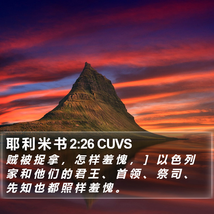 耶 利 米 书 2:26 CUVS Bible Study