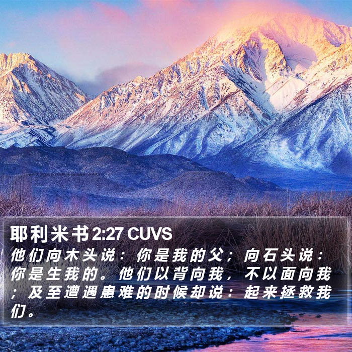 耶 利 米 书 2:27 CUVS Bible Study