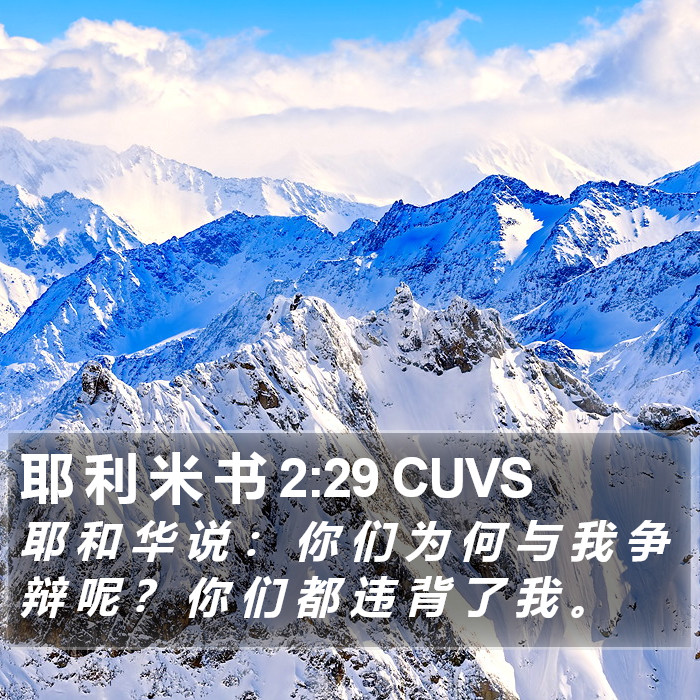 耶 利 米 书 2:29 CUVS Bible Study