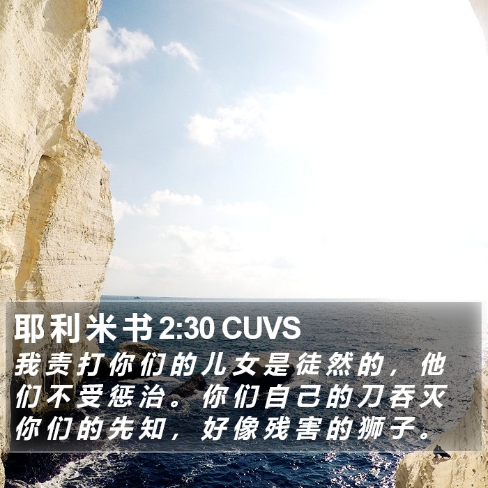 耶 利 米 书 2:30 CUVS Bible Study