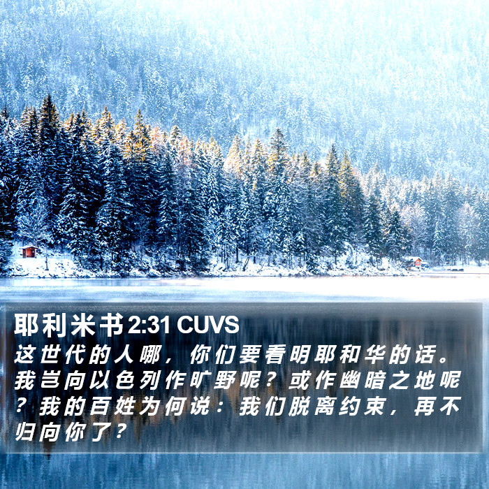 耶 利 米 书 2:31 CUVS Bible Study