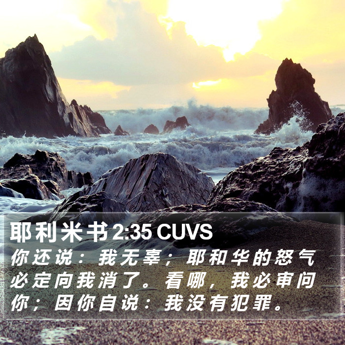 耶 利 米 书 2:35 CUVS Bible Study